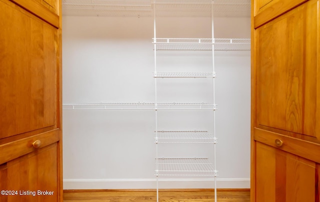 walk in closet featuring light wood-style flooring