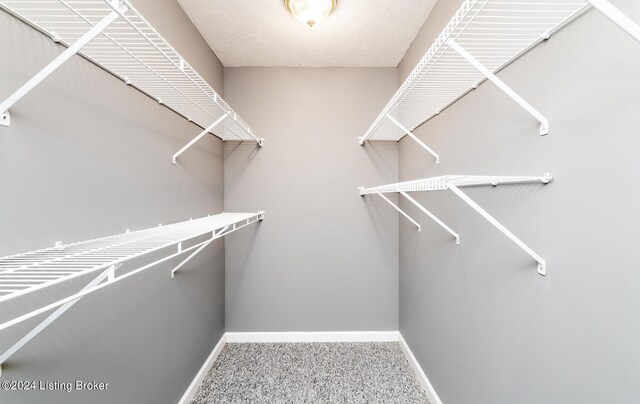 walk in closet with carpet flooring