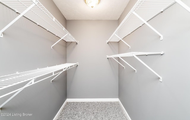 walk in closet featuring carpet flooring