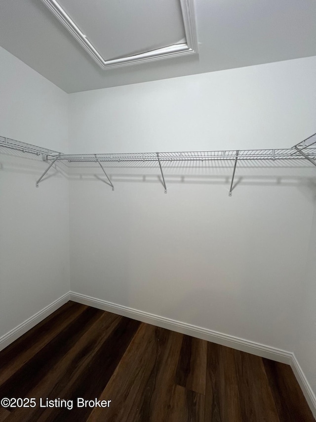 walk in closet featuring attic access and dark wood-style flooring