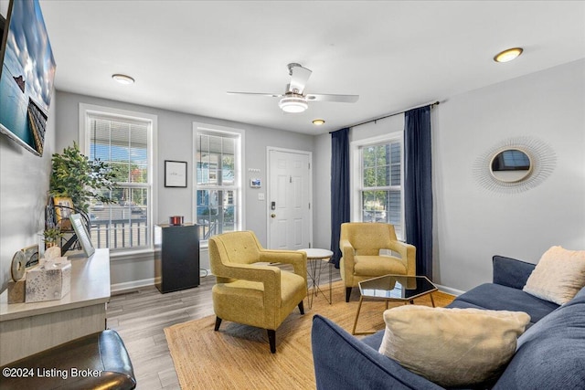 living room with ceiling fan and light wood-type flooring