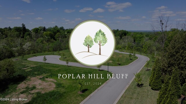 LOT4 Poplar Hill Blf, Louisville, KY 40207 - photo 14