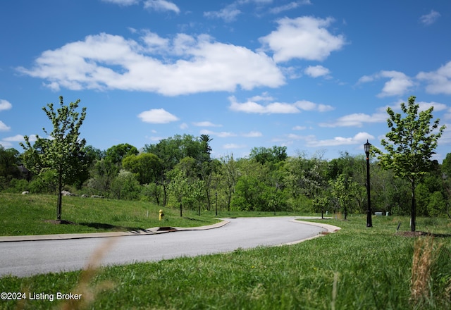 LOT4 Poplar Hill Blf, Louisville, KY 40207 - photo 4