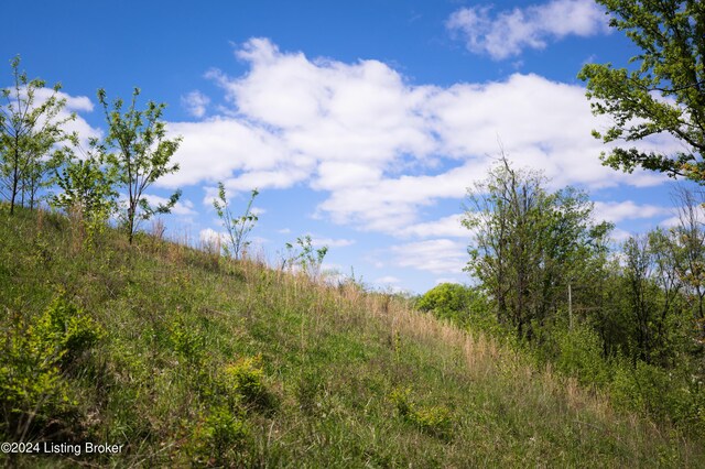 LOT4 Poplar Hill Blf, Louisville, KY 40207 - photo 5