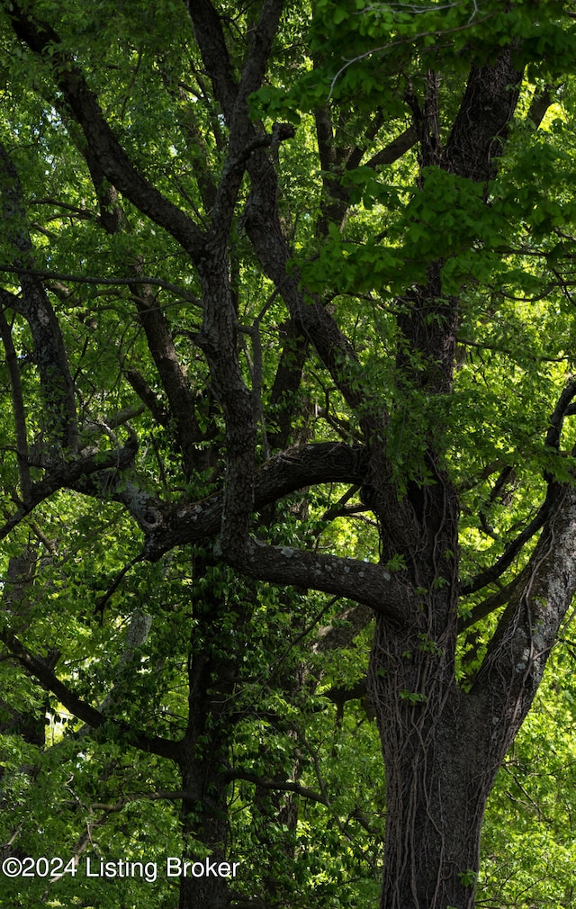 view of nature