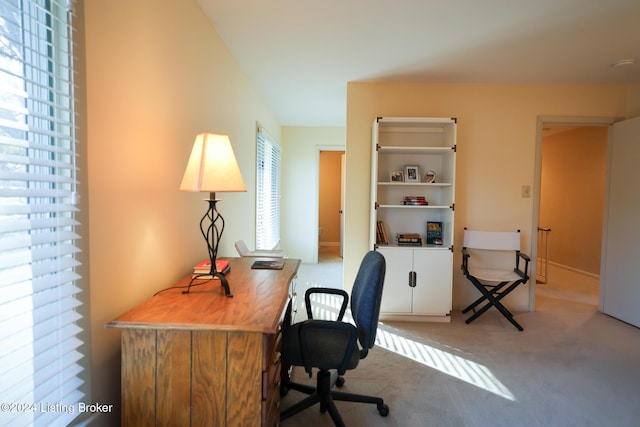 office area featuring carpet flooring