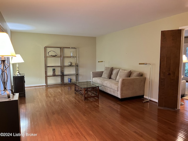 living room featuring wood-type flooring