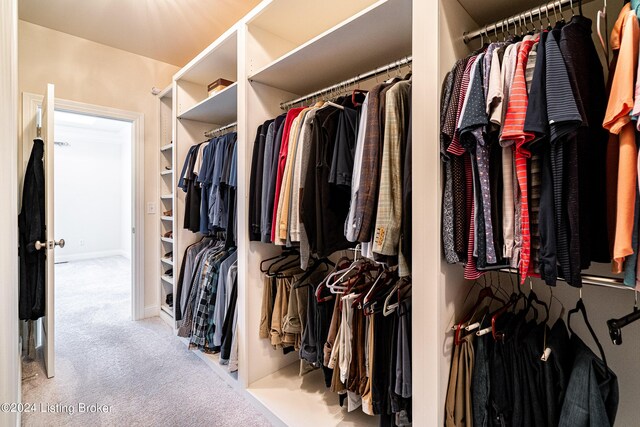 spacious closet featuring carpet flooring