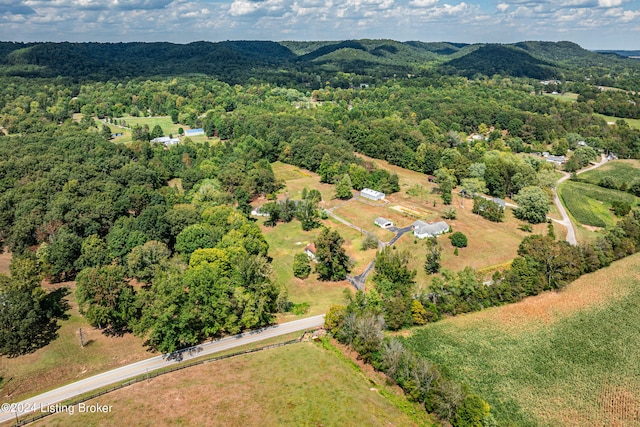 drone / aerial view with a mountain view