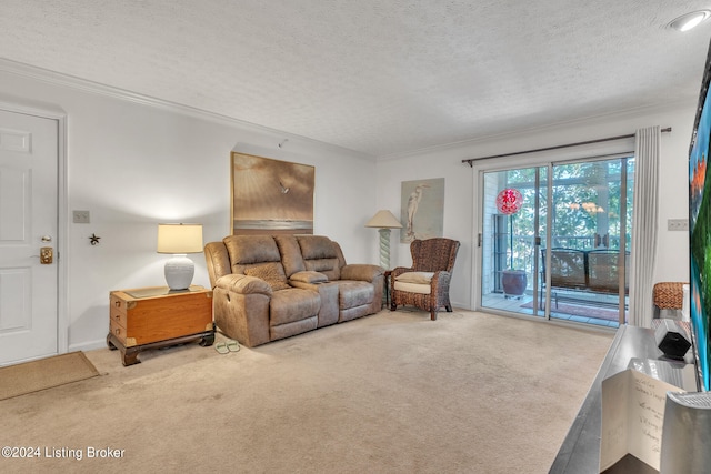 living room with crown molding, a textured ceiling, and carpet floors