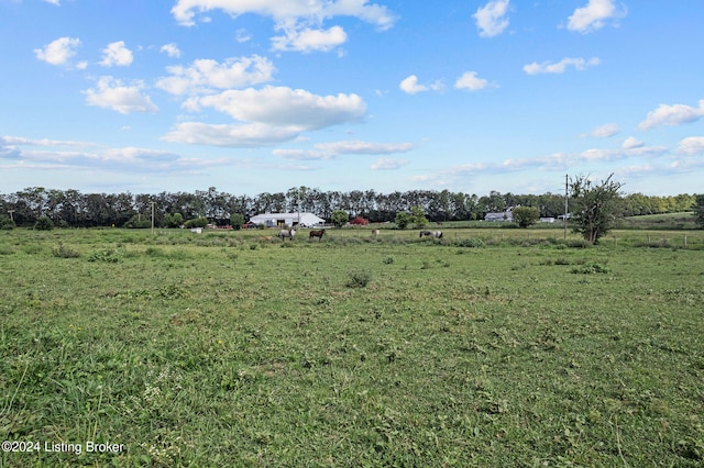 view of nature with a rural view