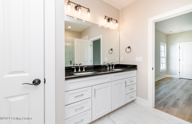 bathroom with walk in shower, hardwood / wood-style flooring, and vanity