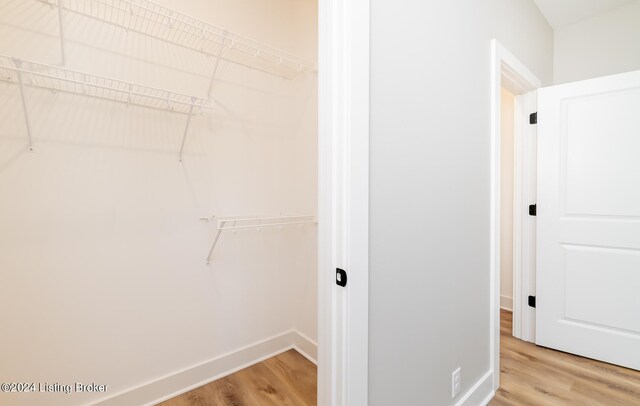 walk in closet featuring light wood-type flooring