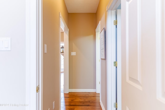 hall with hardwood / wood-style flooring