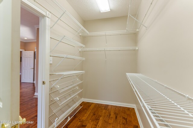 walk in closet featuring hardwood / wood-style flooring