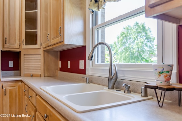 kitchen featuring a healthy amount of sunlight and sink