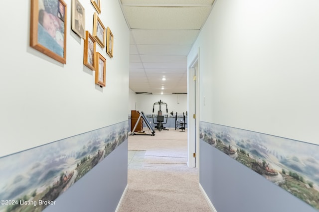 hallway featuring light carpet and a paneled ceiling