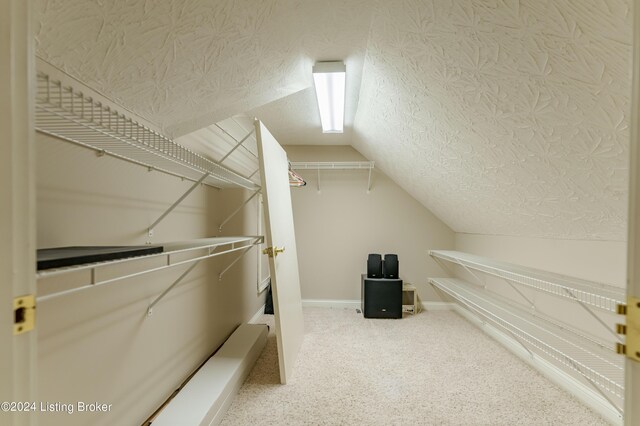 spacious closet with lofted ceiling and carpet flooring