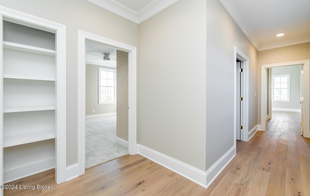 hallway featuring light wood-type flooring, crown molding, and a healthy amount of sunlight