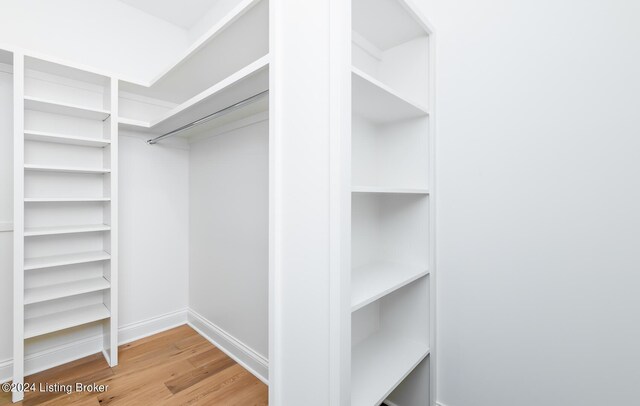 spacious closet with light wood-type flooring