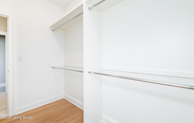 spacious closet featuring light wood-type flooring