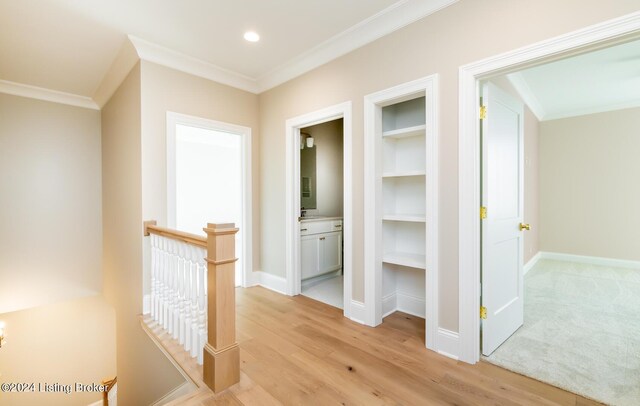 corridor featuring crown molding and light hardwood / wood-style floors