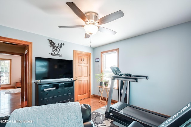 exercise area featuring a wealth of natural light, ceiling fan, and wood-type flooring