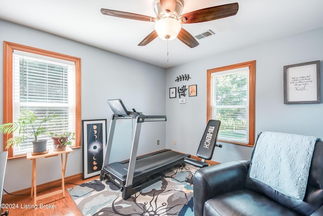 workout area with ceiling fan and hardwood / wood-style floors