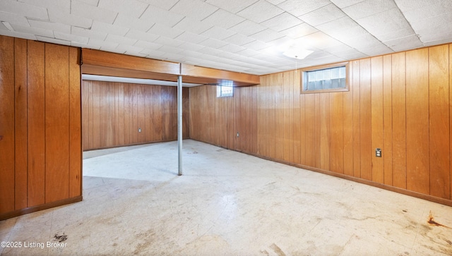 basement with wood walls