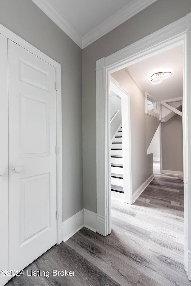 hall with wood-type flooring and ornamental molding