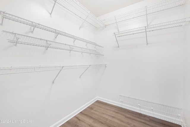 walk in closet with hardwood / wood-style flooring