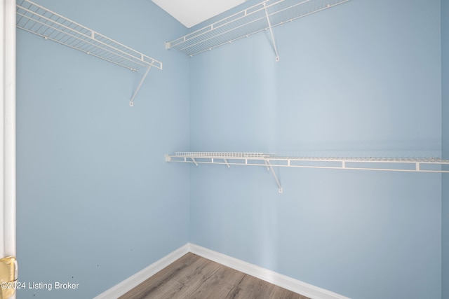 spacious closet featuring hardwood / wood-style flooring