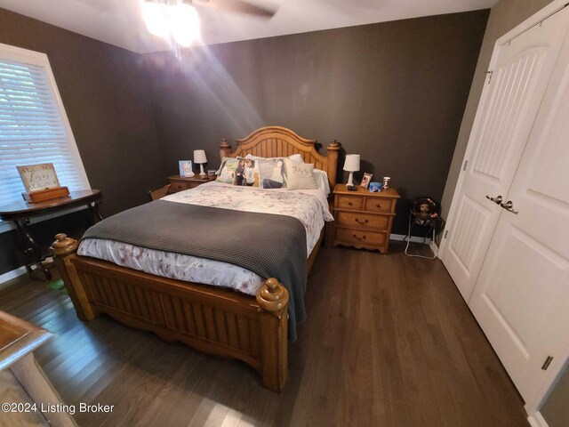 bedroom featuring ceiling fan, a closet, and dark wood-type flooring