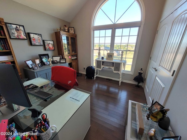 4 N Ridge View Dr, Carrollton, KY 41008 - office featuring dark wood-type flooring, baseboards, and vaulted ceiling