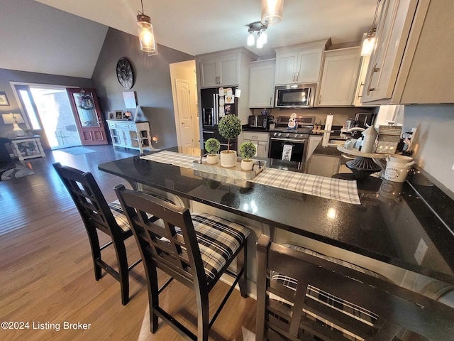 4 N Ridge View Dr, Carrollton, KY 41008 - kitchen featuring pendant lighting, light wood-style floors, a peninsula, appliances with stainless steel finishes, and dark countertops