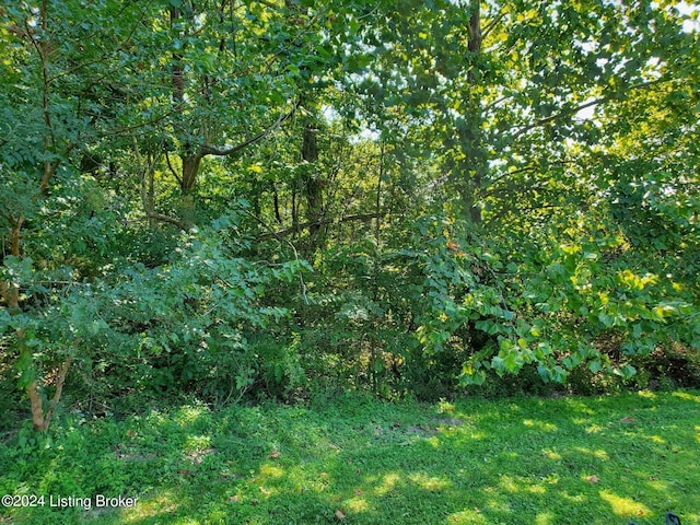 view of local wilderness featuring a view of trees