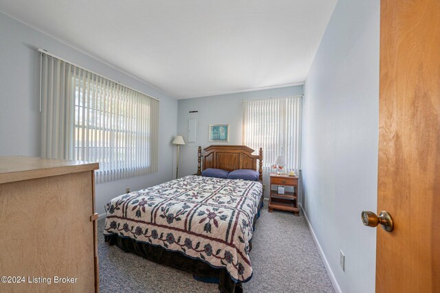 bedroom featuring carpet flooring