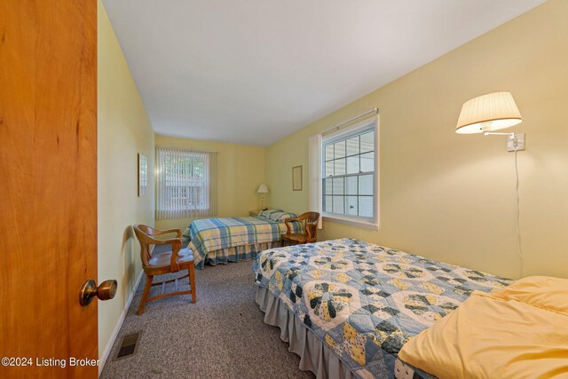 carpeted bedroom with multiple windows