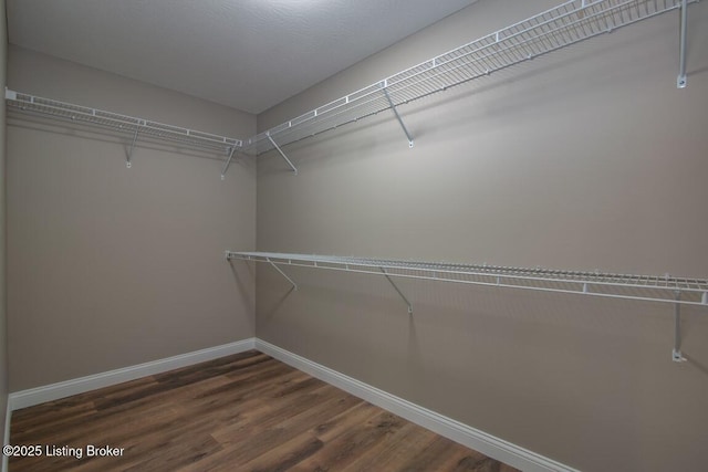 spacious closet with dark hardwood / wood-style flooring