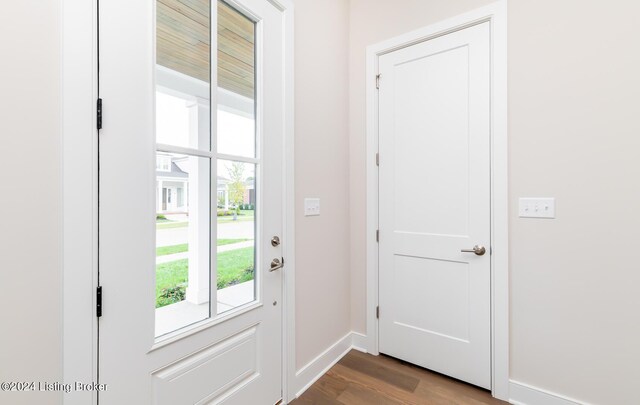 doorway to outside featuring wood-type flooring