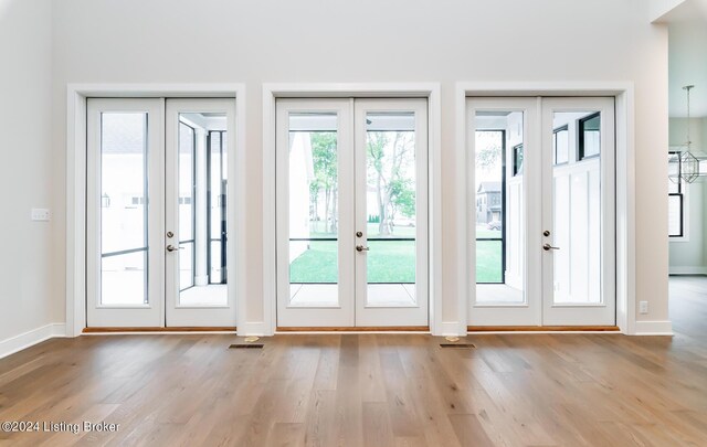 doorway featuring light hardwood / wood-style floors and french doors