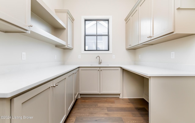 kitchen featuring wood-type flooring and sink