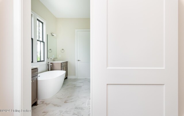 bathroom featuring vanity, a wealth of natural light, and a tub