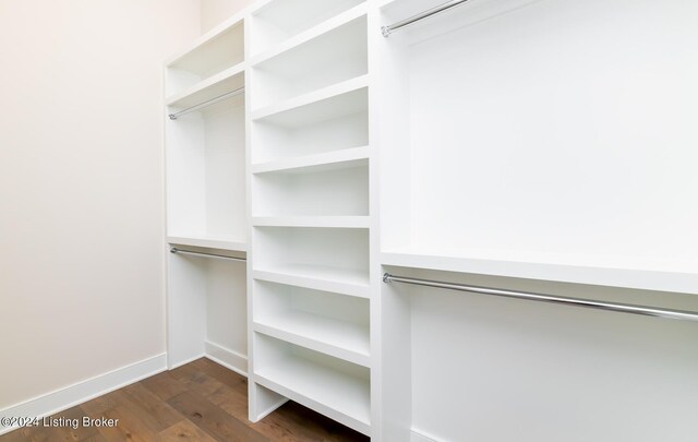 spacious closet featuring dark hardwood / wood-style floors