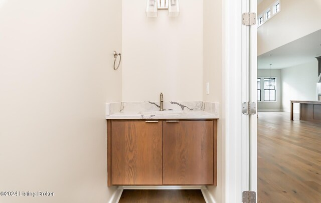 bathroom with vanity and wood-type flooring