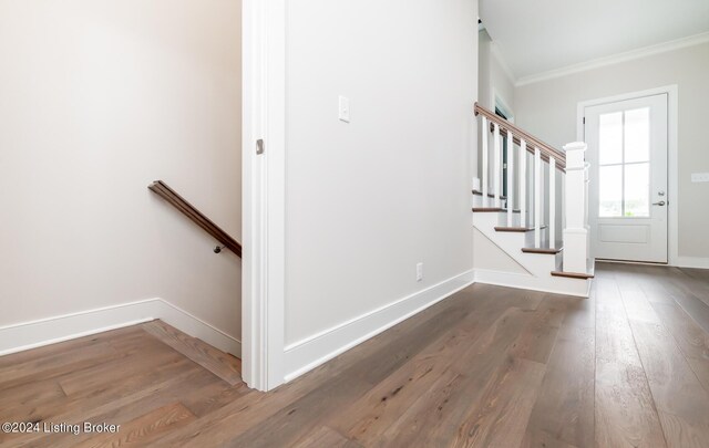 entryway featuring dark wood-type flooring and crown molding