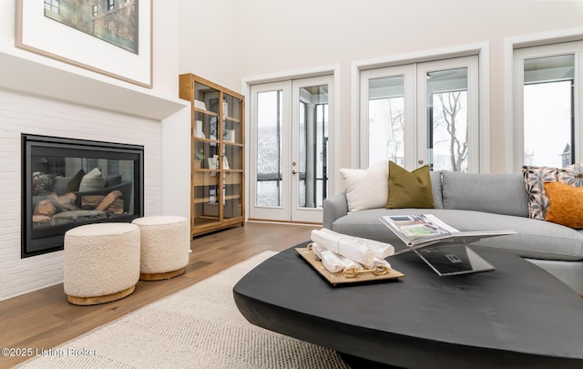 living room featuring french doors and wood-type flooring