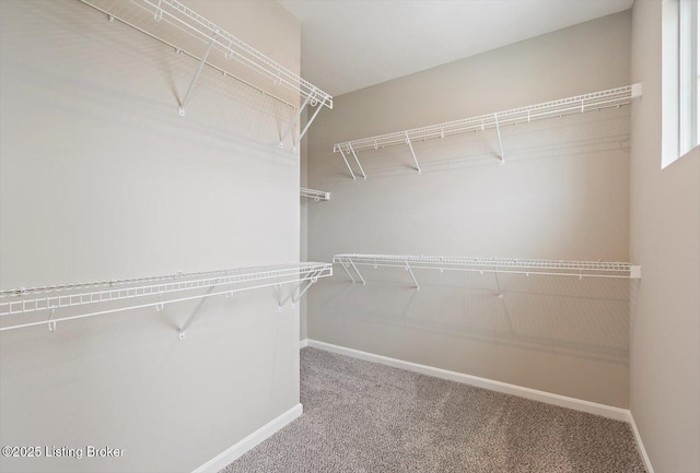 120 Exploration Path Unit 5B, Shelbyville, KY 40065 - walk in closet with carpet