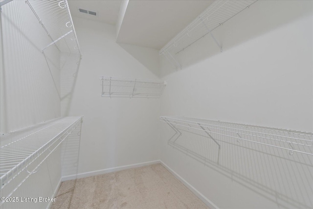 188 Harvest Moon Ct Unit 219B, Shepherdsville, KY 40165 - walk in closet featuring light carpet