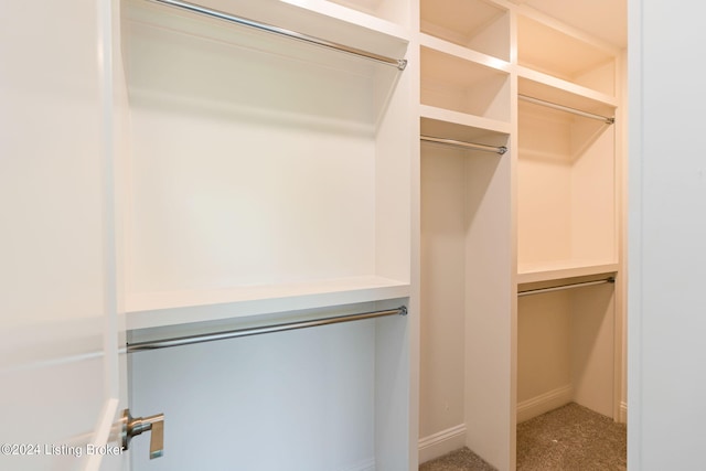 spacious closet featuring light carpet